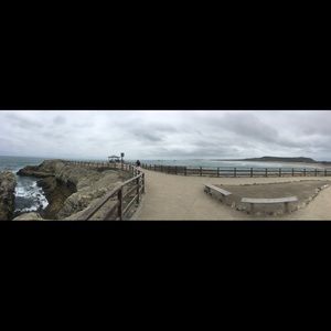 Meet your Posher, Jose